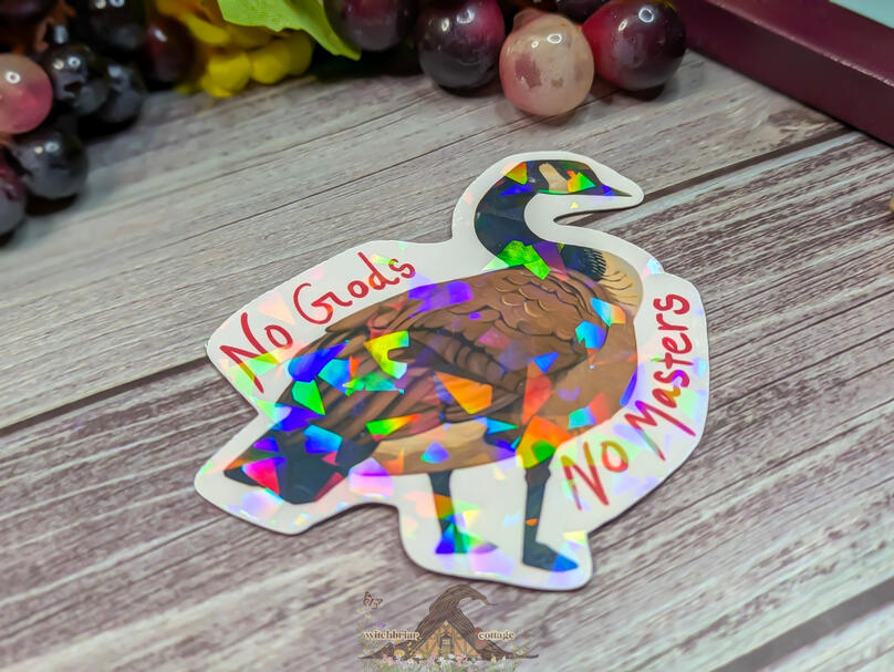 no gods no masters goose by cas